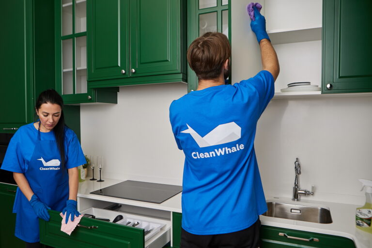Your Ultimate Guide to Starting a Cleaning Company in Prague: Step-by-Step Success