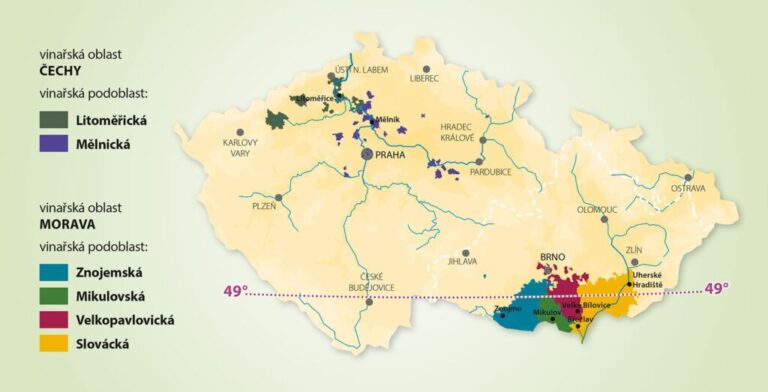 Objevte tajemství Českého vína: 7 regionů a nezapomenutelné vinařské stezky