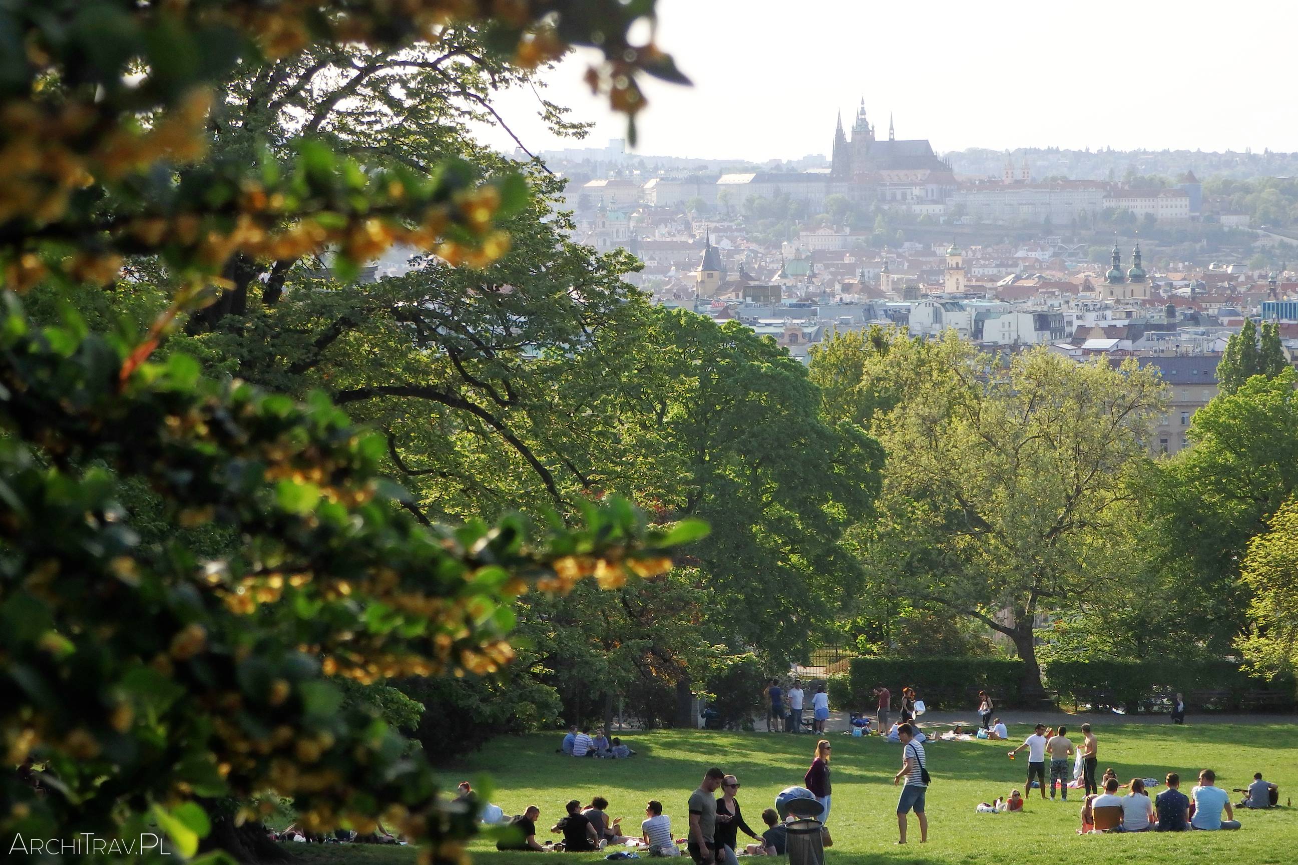 Transforming Urban Landscapes: The Rise of Green Rooftops and City Farms in Prague